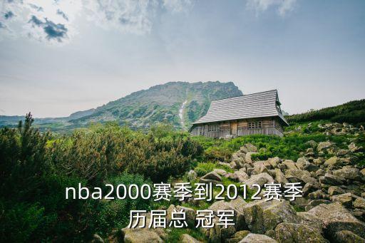 12年nba總冠軍是哪個隊,火箭隊痛宰湖州奪得nba總冠軍