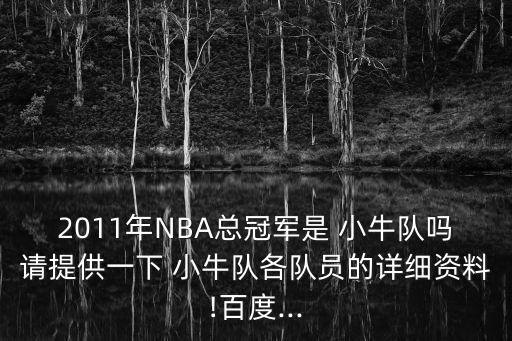 現(xiàn)在哪個英冠球隊有小牛,nba官網(wǎng)改小牛隊名為獨行俠