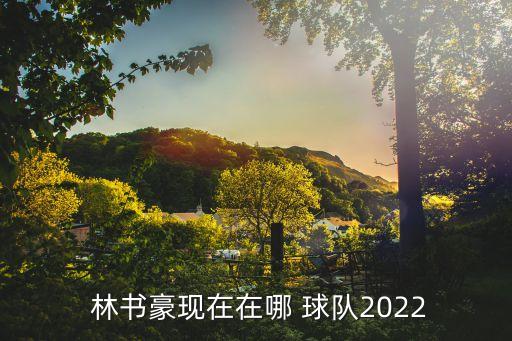  林書(shū)豪現(xiàn)在在哪 球隊(duì)2022