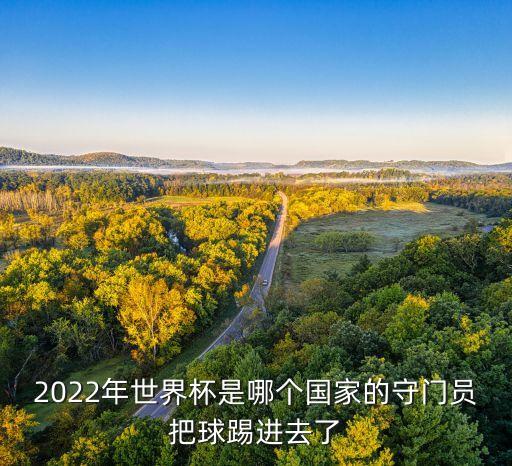 2022年世界杯是哪個國家的守門員把球踢進去了