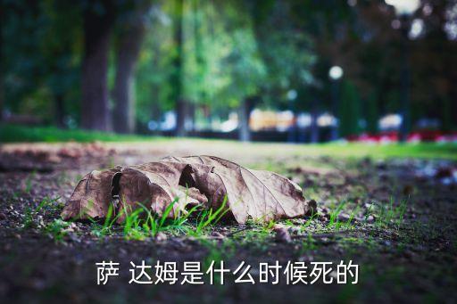 薩 達(dá)姆是什么時候死的