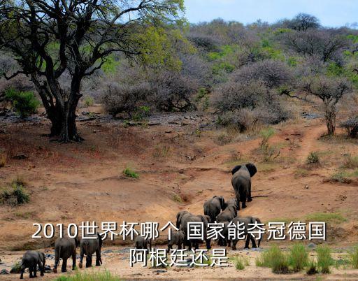 2010世界杯哪個 國家能奪冠德國阿根廷還是