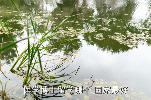 普埃大學(xué)是哪個(gè)國(guó)家的,去跨國(guó)大學(xué)會(huì)有競(jìng)爭(zhēng)力但回來(lái)的jd更多