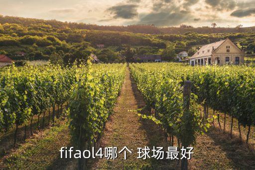 fifaol4哪個(gè) 球場(chǎng)最好