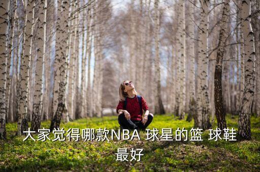 哪個球星球鞋銷量最高,nba球星最受歡迎十位球員公布