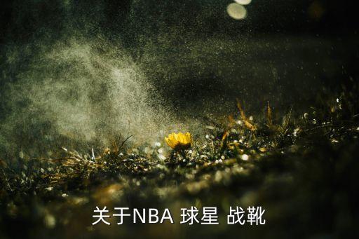 關(guān)于NBA 球星 戰(zhàn)靴