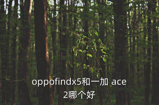 ace與x系列哪個(gè)適合寬腳,看看這兩款手機(jī)你覺得更好看!