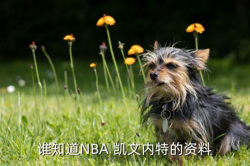 凱文 加內(nèi)特是哪個球隊的,nba球星凱文加內(nèi)特入選名人堂