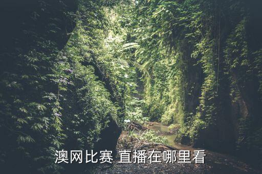 澳甲哪個(gè)平臺有直播,澳網(wǎng):你想不到的高清視頻沒有你看不到