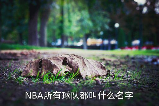 紐約是哪個(gè)籃球隊(duì),nba是nba球隊(duì)之一密爾沃基雄鹿火箭隊(duì)