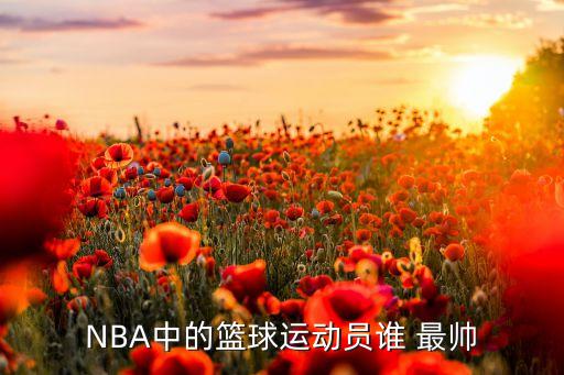 NBA中的籃球運(yùn)動員誰 最帥