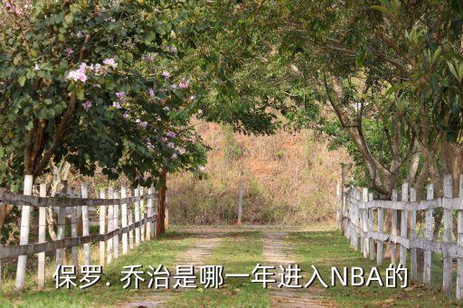 保羅. 喬治是哪一年進入NBA的