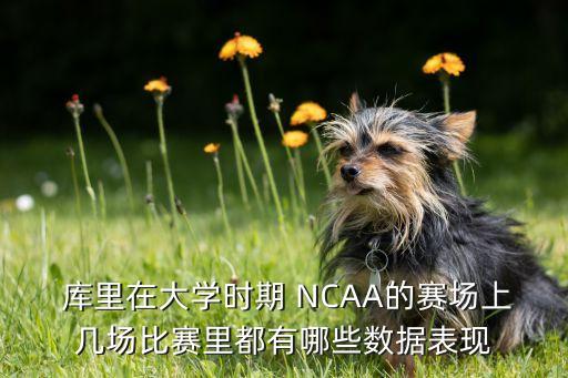 庫里NCAA哪個學校,nba球員斯蒂芬?guī)炖锶葕Z冠