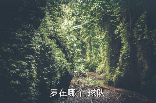 羅在哪個 球隊