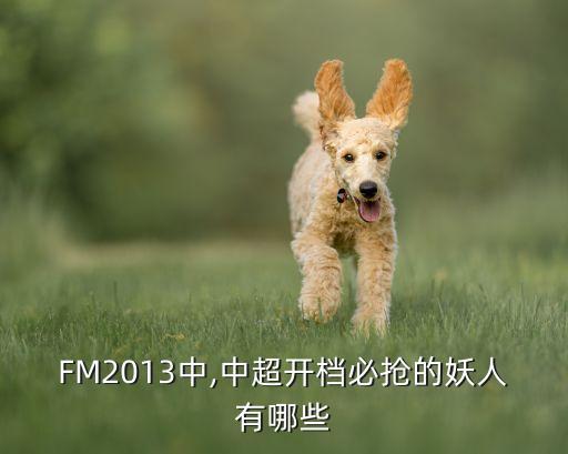 fm2013 哪個(gè)國家隊(duì)最強(qiáng),法爾考的得分沒有12分好