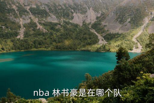 林書豪屬nba哪個隊,林書豪加盟nba布魯克林籃網(wǎng)隊