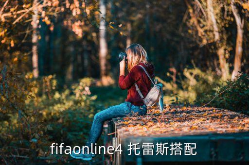 fifaonline4 托雷斯搭配