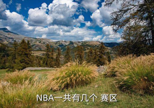 NBA一共有幾個(gè) 賽區(qū)