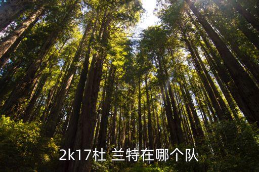 2k17杜 蘭特在哪個隊(duì)