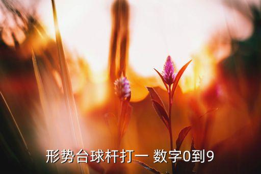 形勢臺(tái)球桿打一 數(shù)字0到9