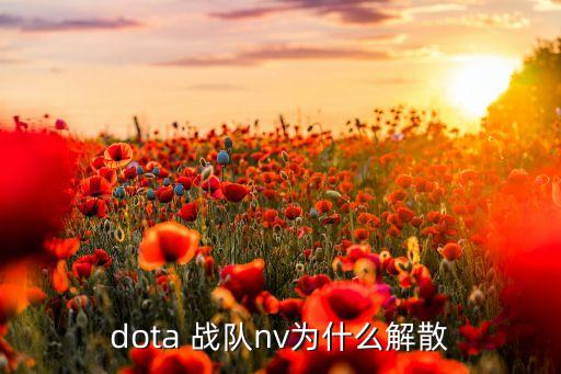 dota 戰(zhàn)隊nv為什么解散