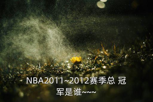 NBA2011~2012賽季總 冠軍是誰(shuí)~~~