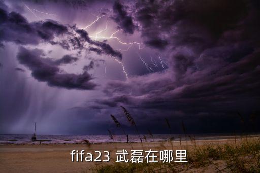 fifa17武磊在哪個(gè)隊(duì),中國足球神童武磊99年來中國踢球