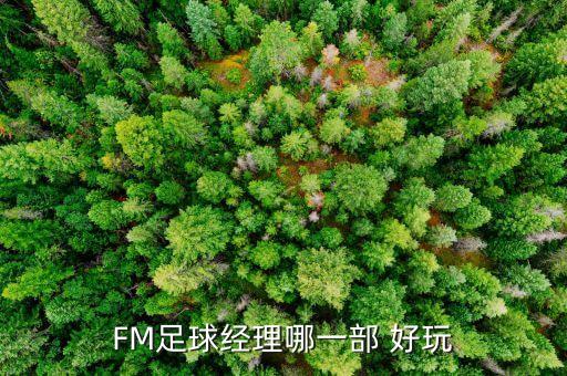 fm16哪個隊好玩,推薦玩fm2011破解完美英超沒弱隊