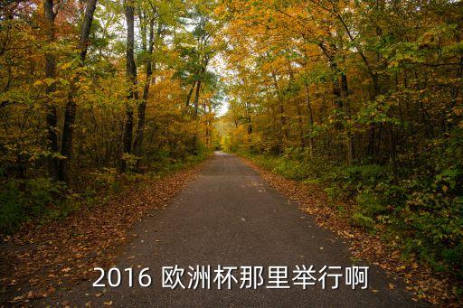 2016歐洲杯在哪個國家舉行,法國成為2016歐洲杯主辦國