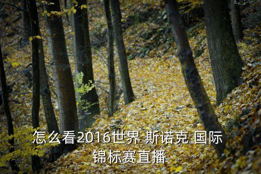 怎么看2016世界 斯諾克 國際 錦標(biāo)賽直播