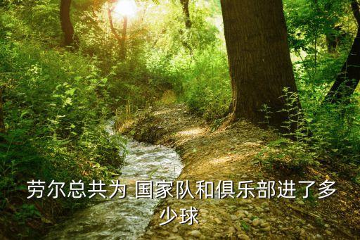  勞爾總共為 國家隊(duì)和俱樂部進(jìn)了多少球