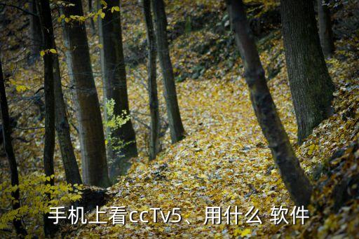 手機(jī)上看ccTv5、用什么 軟件