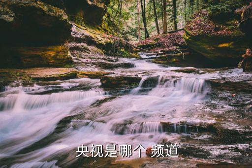  央視是哪個 頻道