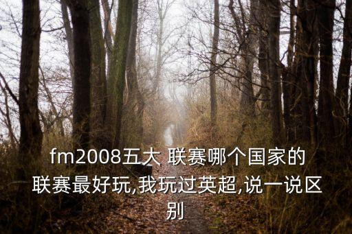  fm2008五大 聯(lián)賽哪個(gè)國(guó)家的 聯(lián)賽最好玩,我玩過英超,說一說區(qū)別