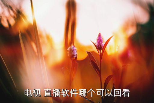 哪個直播可以看回放,本地新增四個直播頻道