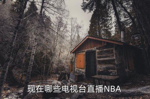 現(xiàn)在哪些電視臺直播NBA