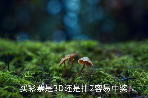 買彩票是3D還是排2容易中獎(jiǎng)