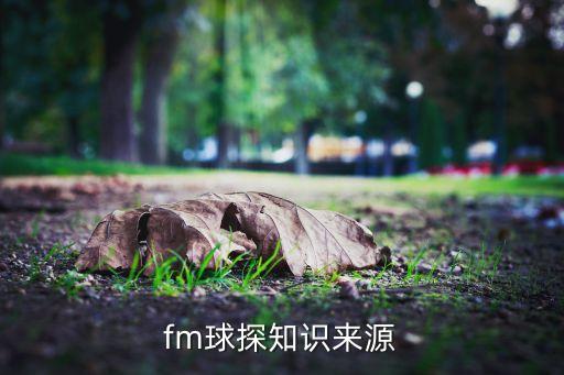 fm球探知識(shí)來(lái)源