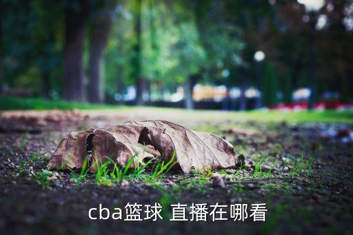 哪個網站直播cba直播嗎,nba新賽季