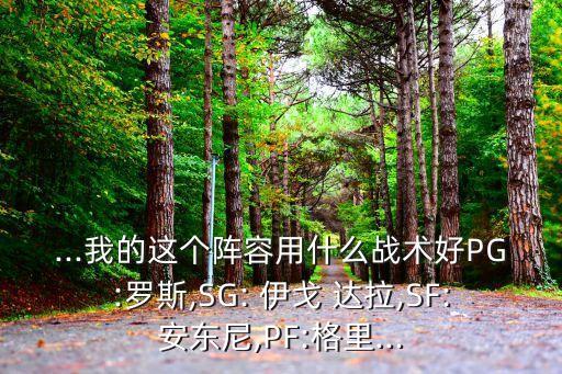 ...我的這個陣容用什么戰(zhàn)術(shù)好PG:羅斯,SG: 伊戈 達拉,SF:安東尼,PF:格里...