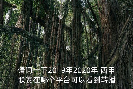 請(qǐng)問一下2019年2020年 西甲 聯(lián)賽在哪個(gè)平臺(tái)可以看到轉(zhuǎn)播