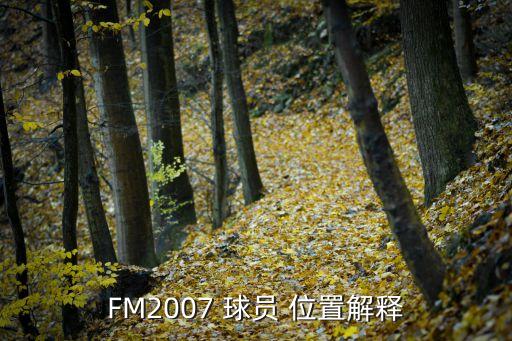 FM2007 球員 位置解釋