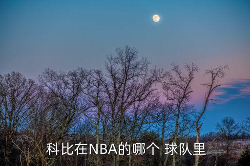  科比在NBA的哪個 球隊里