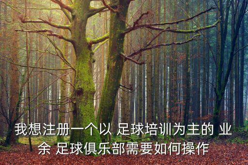 我想注冊一個以 足球培訓為主的 業(yè)余 足球俱樂部需要如何操作