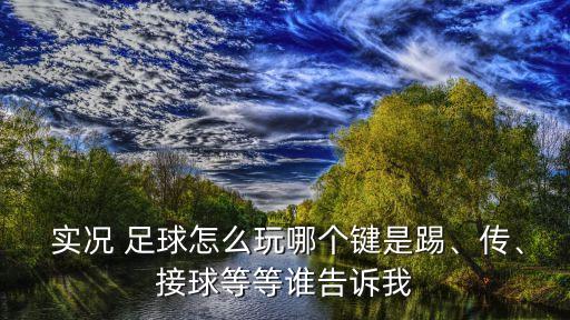  實(shí)況 足球怎么玩哪個(gè)鍵是踢、傳、接球等等誰告訴我