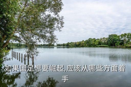 如果國足想要崛起,應(yīng)該從哪些方面著手