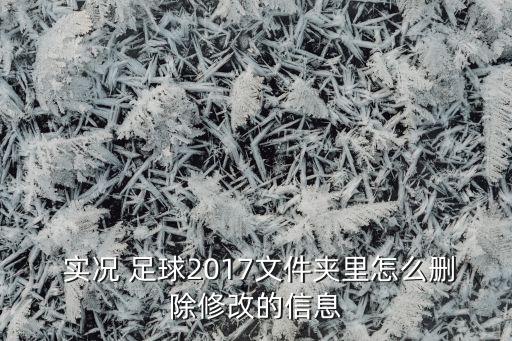  實(shí)況 足球2017文件夾里怎么刪除修改的信息