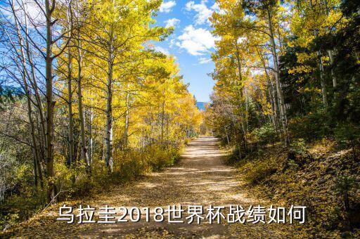  烏拉圭2018世界杯戰(zhàn)績如何