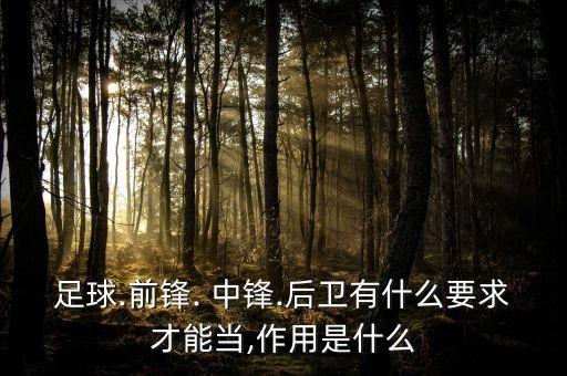 足球.前鋒. 中鋒.后衛(wèi)有什么要求才能當(dāng),作用是什么