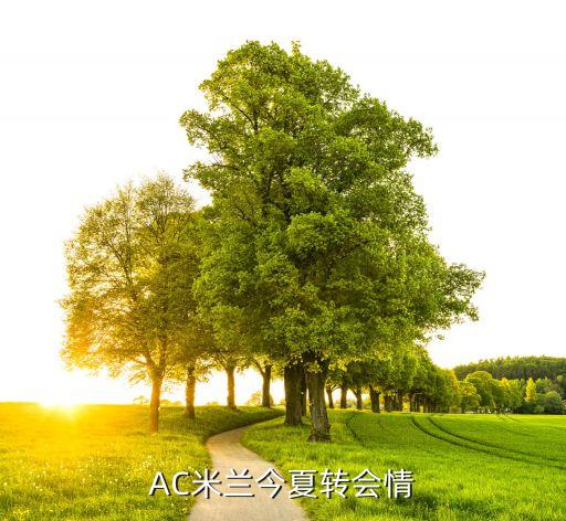 AC米蘭今夏轉(zhuǎn)會情